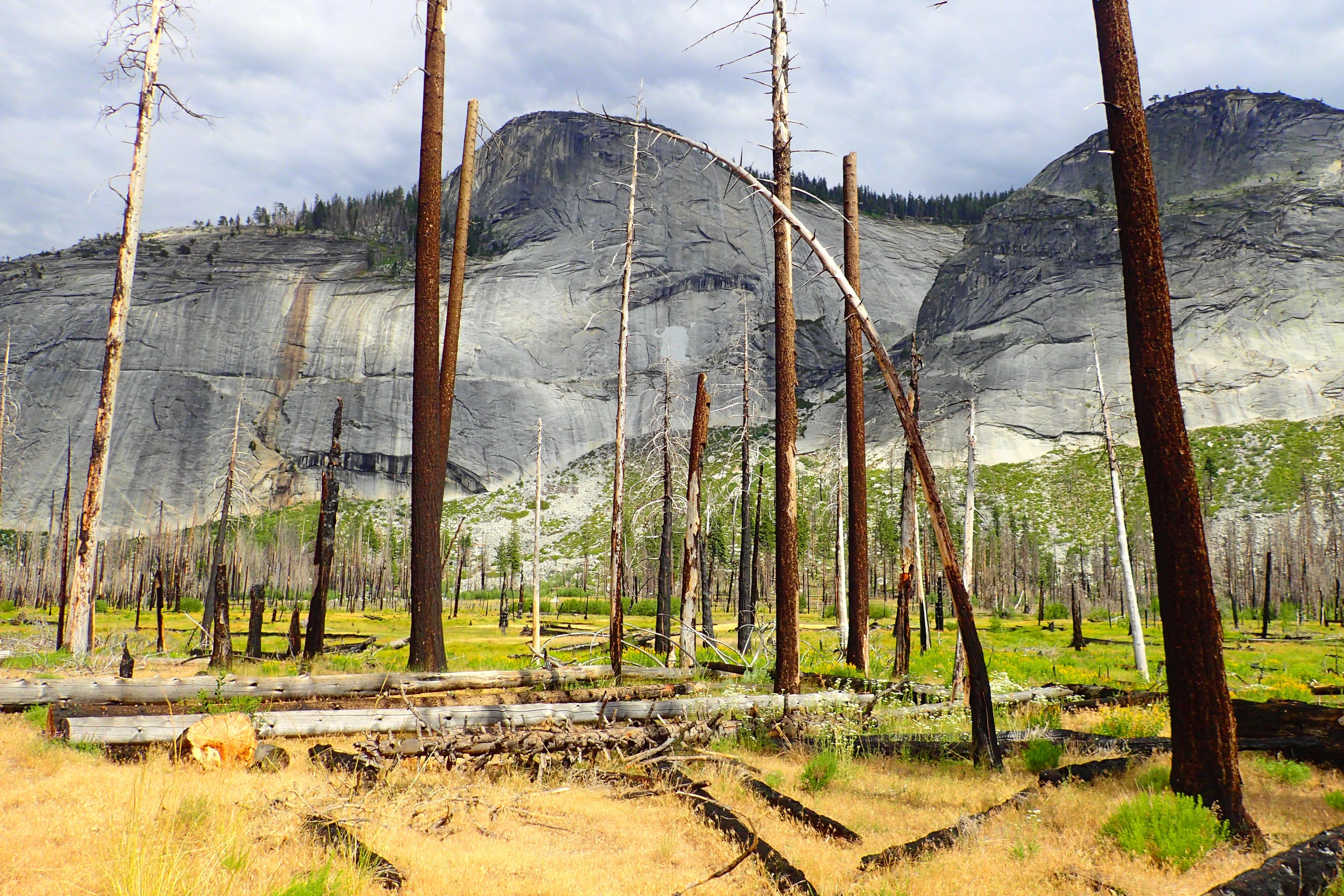 Backpacking Yosemite: Half Dome (3 Day)