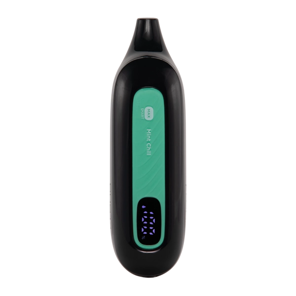 Mint Chill FLONQ Max Smart