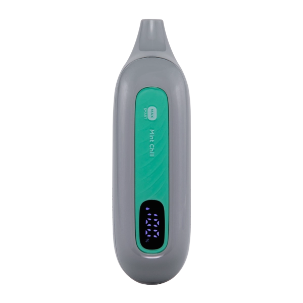 Mint Chill FLONQ Max Smart