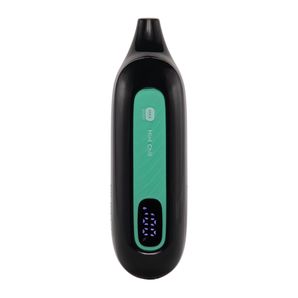 Mint Chill FLONQ Max Smart