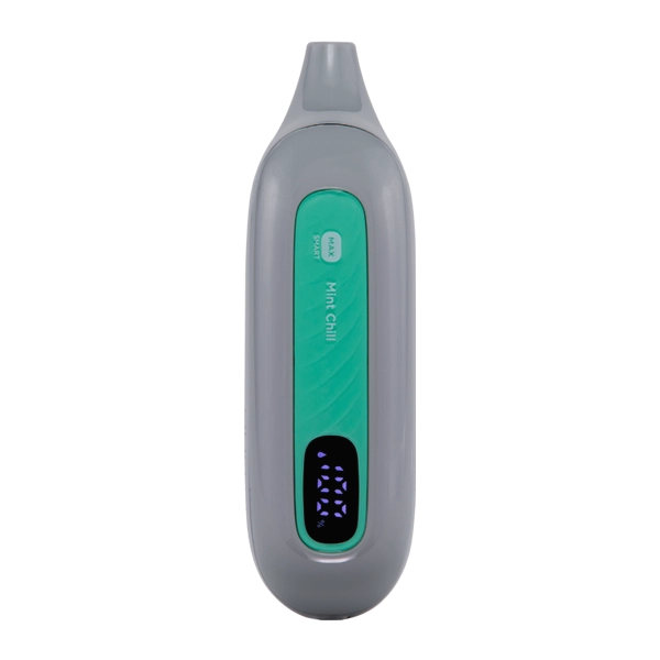 Mint Chill FLONQ Max Smart