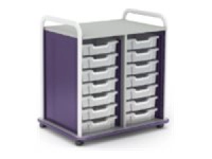 Paragon A&D Crossfit Storage - Trolley - 32 drawers - 16 gauge tubular steel, TFM CFD60OFTOTES17-918XZX
