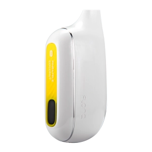 Pineapple Coconut FLONQ Max Smart